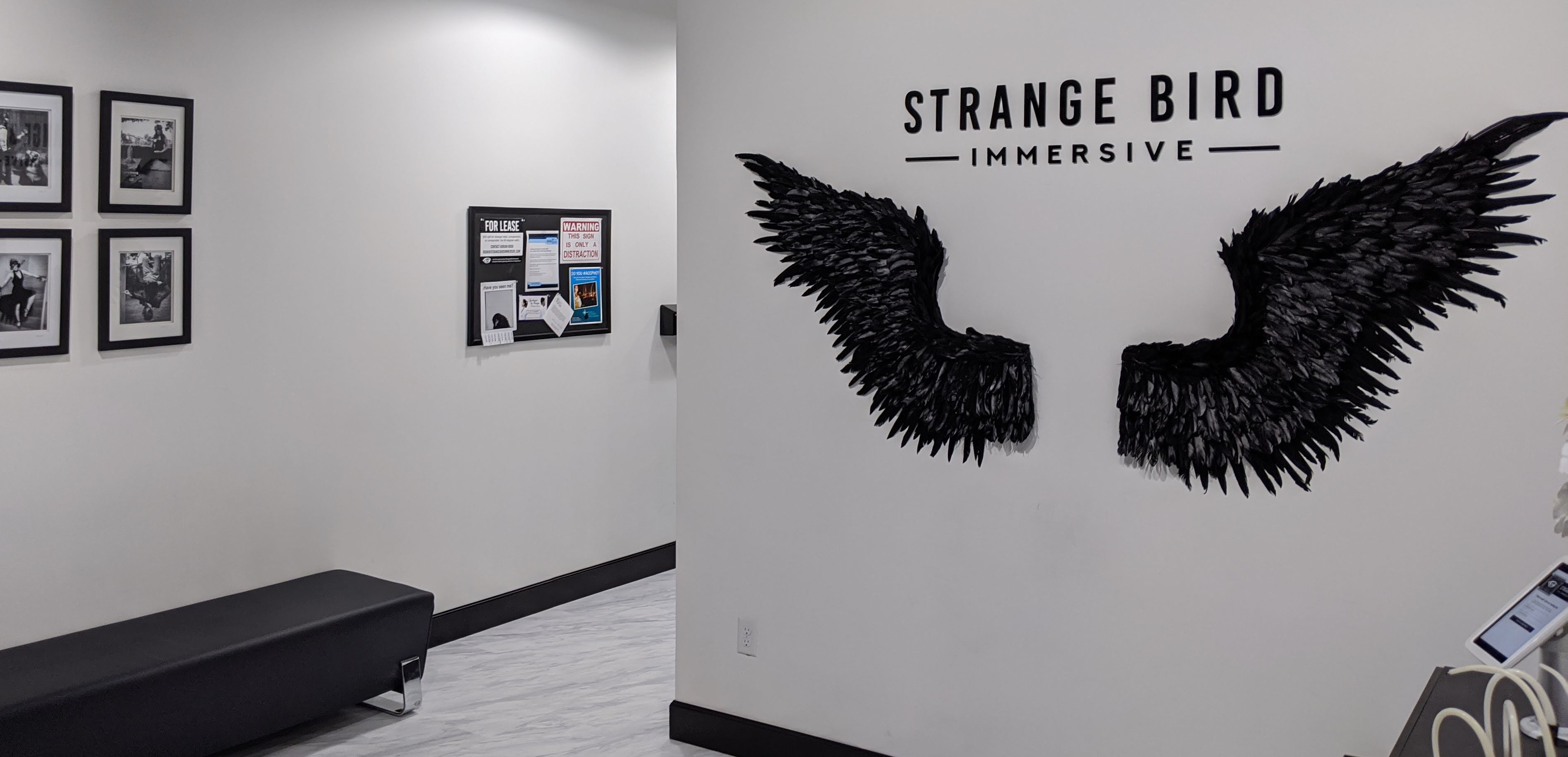 photo of wings mounted on a wall with the Strange Bird logo above